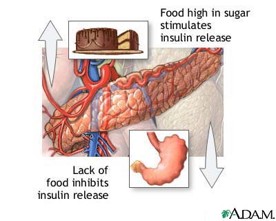 Tiểu đường cách điều trị bằng insulin cần lưu ý những gì?